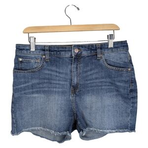 GAP High Rise Cut Off Denim Shorts | Medium Wash | Size 10/30